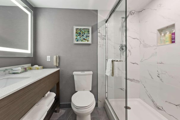 Guest Bathroom with Shower