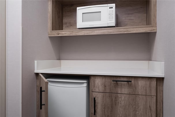 King Room with Pullout Couch