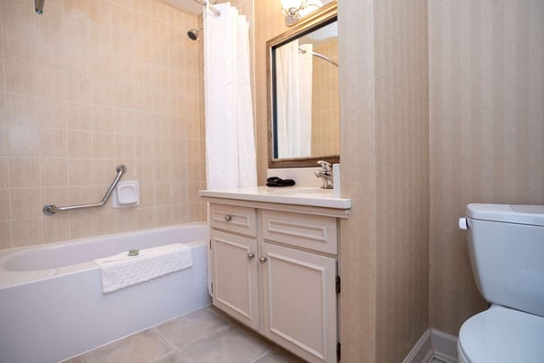 Queen Deluxe Jr. Suite Bath