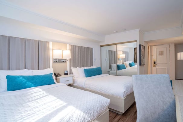 Standard Double City View