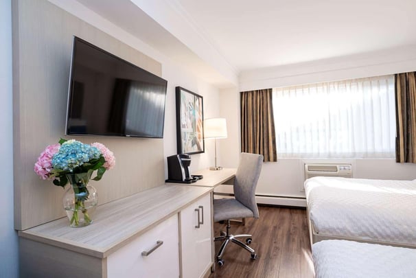 Standard Double City View