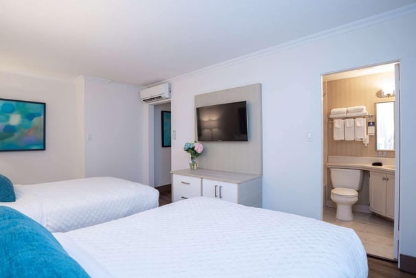 Suite- 2 Double (Family Suite)