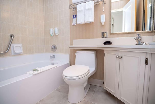 Suite- 1 Queen Premium View Suite