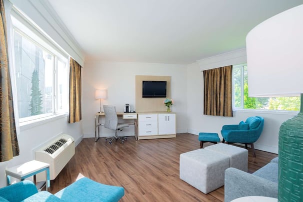 King Executive Suite One King bed and One sofabed