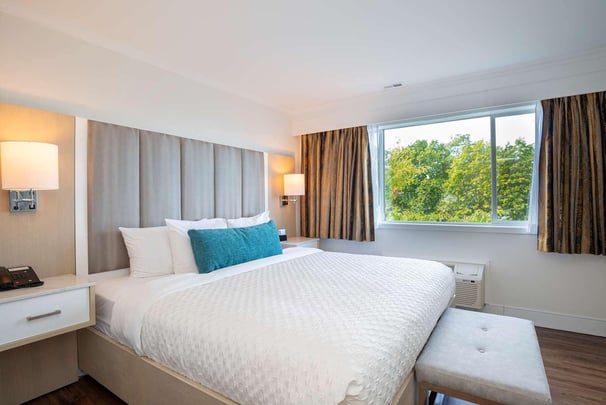 King Executive Suite One King bed and One sofabed