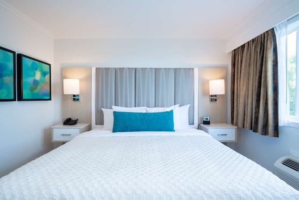 King Executive Suite One King bed and One sofabed