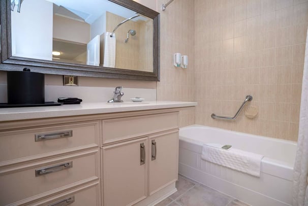 1 King Boardroom Suite Premiere Bathroom
