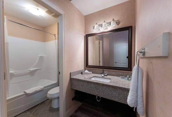 KD-P King Pet Friendly Bathroom