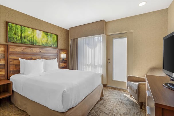 Queen Sofabed Suite w/ Balcony