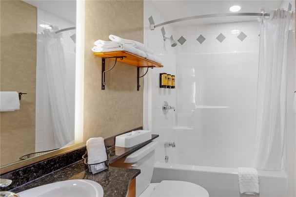 Queen Sofabed Suite - Guest Bath