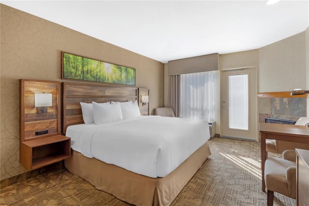 King w/ Jacuzzi & Fireplace