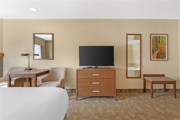 King w/ Jacuzzi & Fireplace