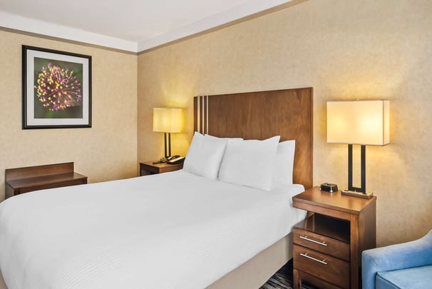 One Queen Accessible