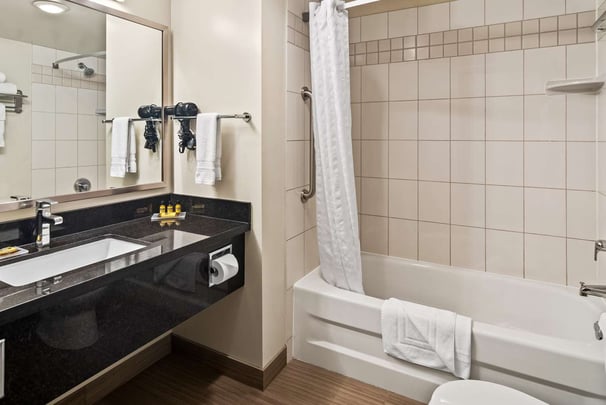 Suite Bathroom