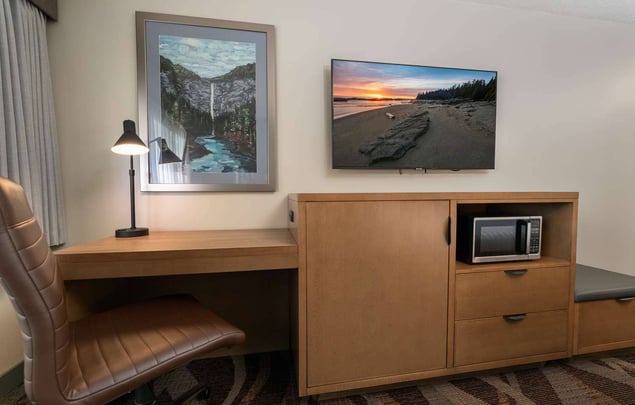 Standard Entertainment Unit