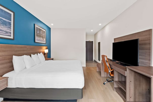 Guest Room Pet Friendly