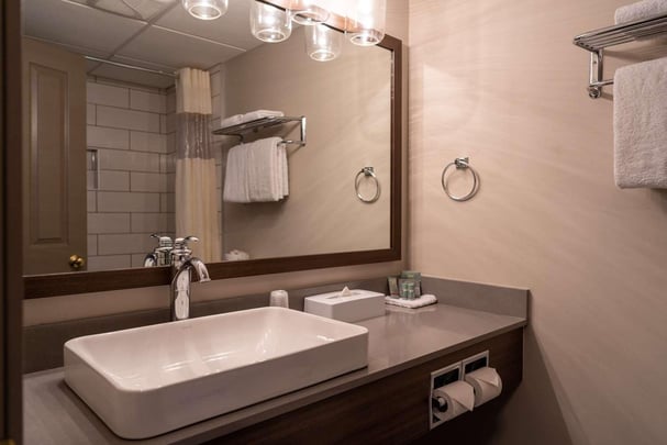 Premium Room Bathroom