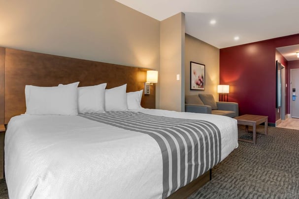 King Suite w/ Sofa Bed