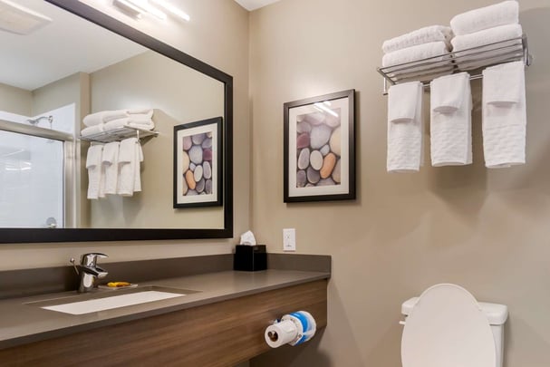 King Suite w/ Sofa Bed - Guest Bath