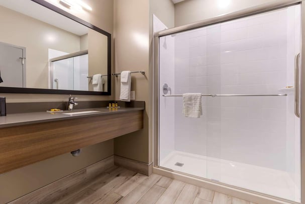 King Whirlpool Suite - Guest Bath