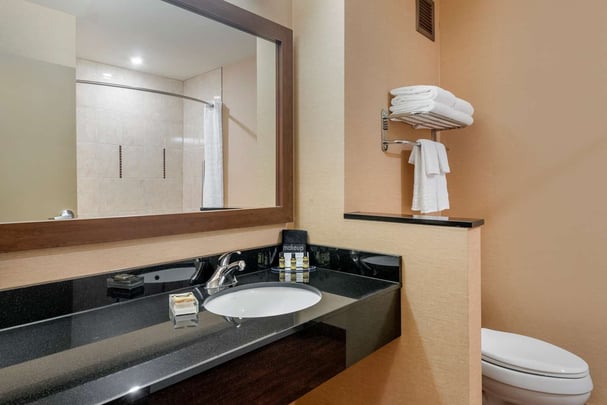 ADA Guest Room Bath
