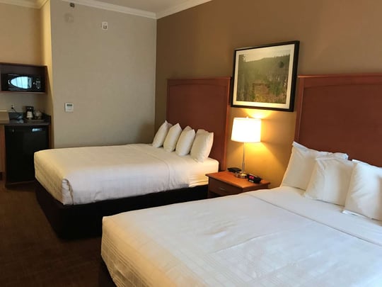 2 Queen Pet Friendly Business Floor