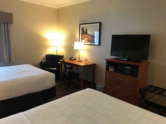 2 Queen Pet Friendly Business Floor