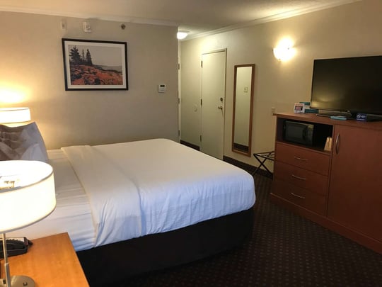 King Pet Friendly Room
