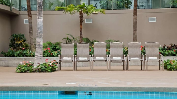 Indoor Tropical Atrium Oasis