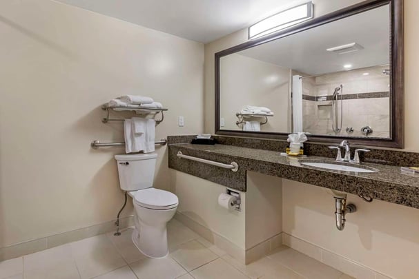 Accessible Bathroom