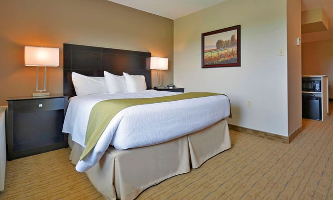 Queen Bed Mini Suite