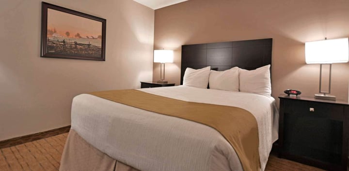 Queen Bed with Kitchenette and Living Room