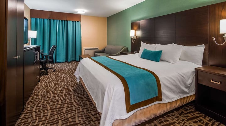 Modern King with Double Pull Out Sofabed