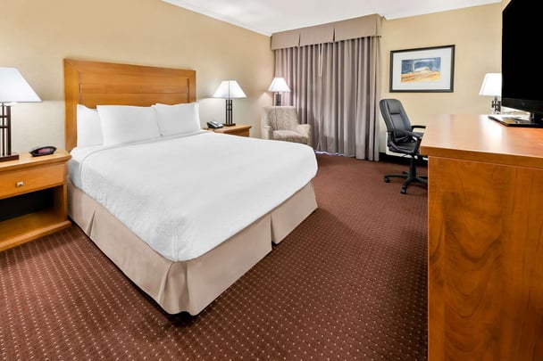 BW Plus ThunderBay ON ADAQueen