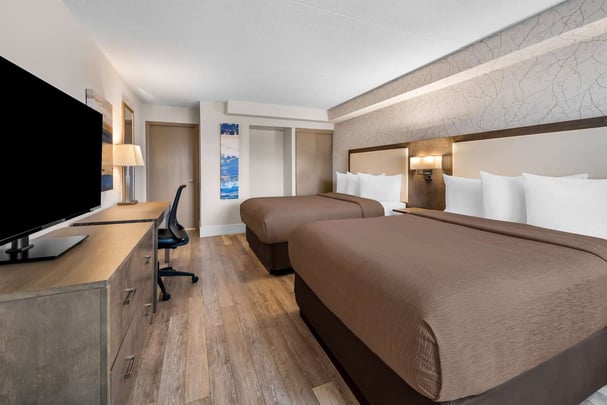 2 Queens Pet-Friendly