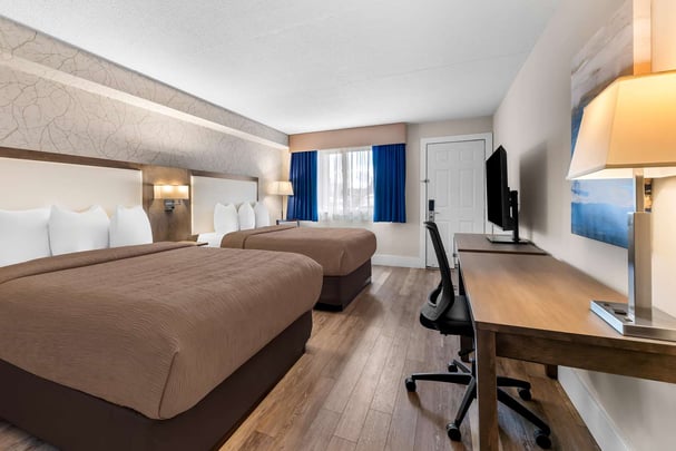 2 Queens Pet-Friendly