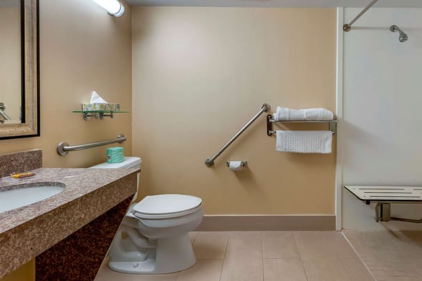 Guest Bathroom Accessible