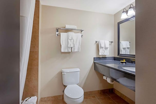 Jetted Tub & Fireplace | Suite-1 King Bed