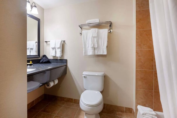 King Suite with Jetted Tub and Sofabed