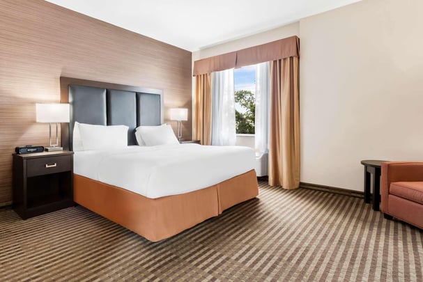 King Suite w/ Sofa Bed