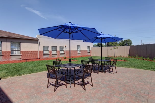 Outdoor Garden/BBQ Area