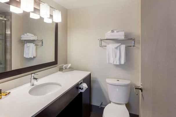 1 King | 2 Queen Beds Suite Bathroom