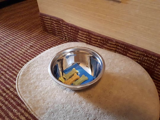 Pet Friendly Guest Room with Two Double Beds