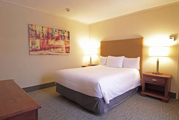 Family Suite - main bedroom with Queen bed