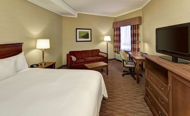 Queen Bed Guest Room with Sofa Sleep