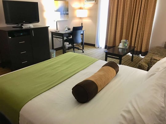 One Queen with Sofa Bed