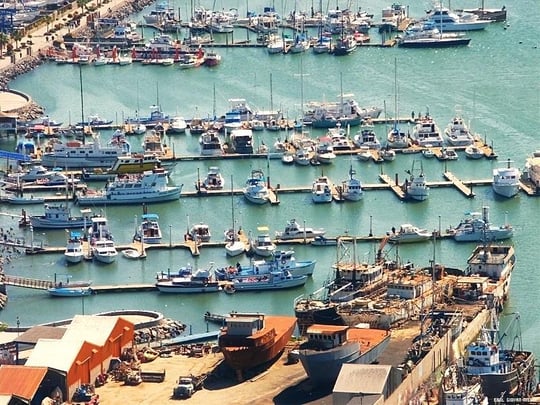 Sport Fishing Piers
