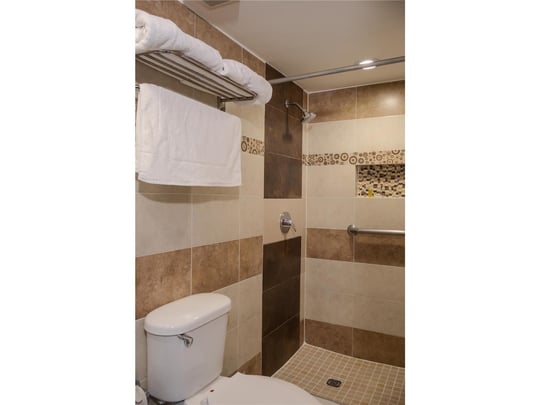 One King Bed Bathroom