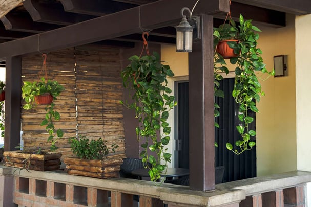 Executive whit Terrace