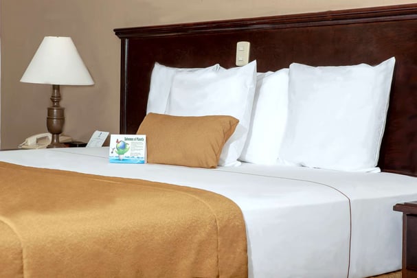 Standard room with king bed